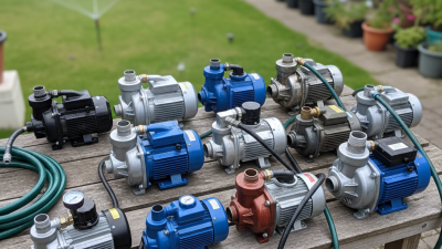 Top 10 Self Priming Booster Pumps for Home and Garden Use