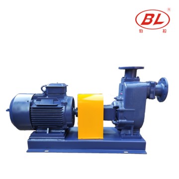 ZX Self-priming Water Pump For Irrigation