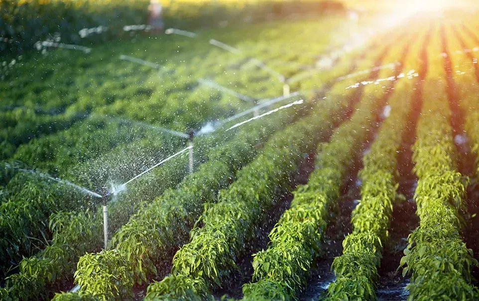 Agricultural Irrigation