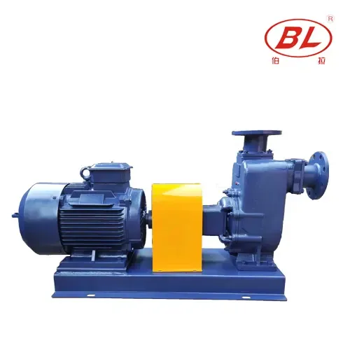 Centrifugal Electric Self-Priming Water Pump
